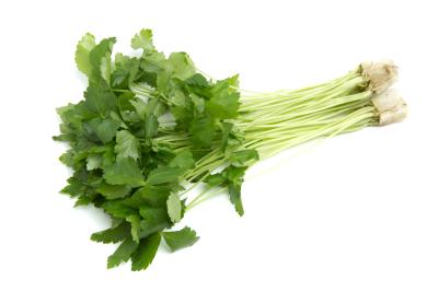 スポンジがついたみつば